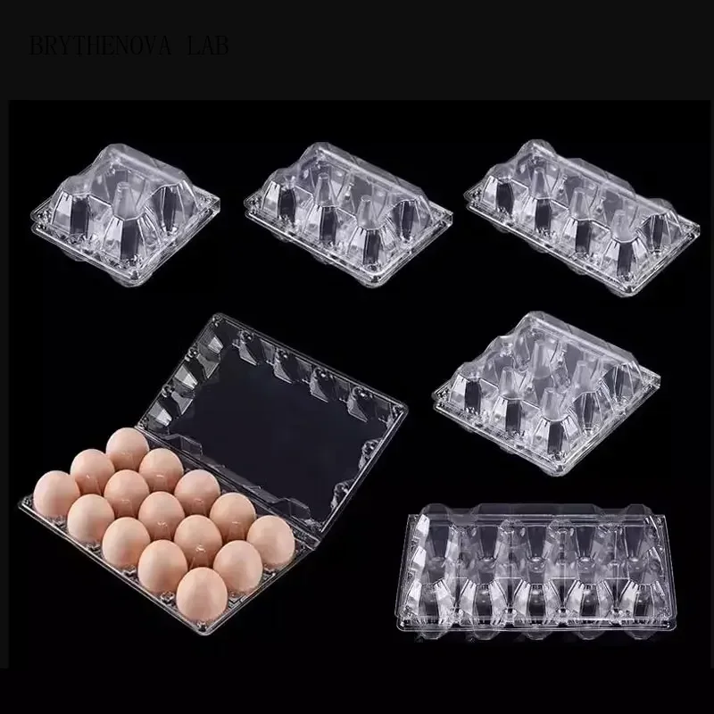 Event Party Box - 20 adet Tek Kullanımlık Plastik Yumurta