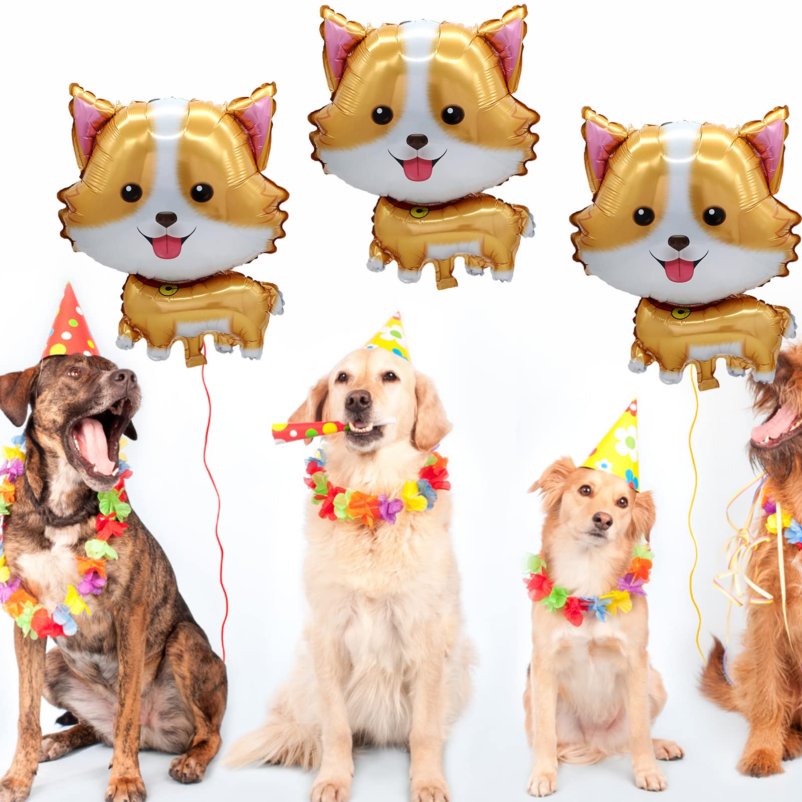 5 adet Pet köpek balonlar için - Let'S Party Event Supply incelemesi ve fiyatı