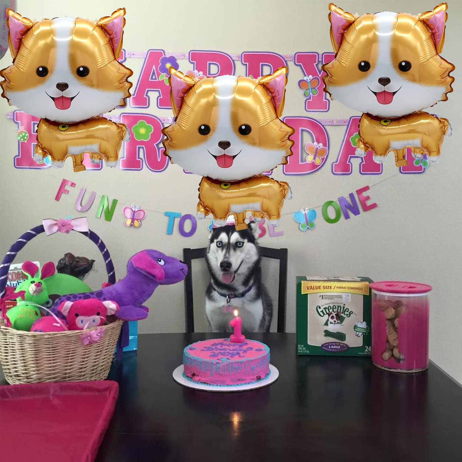 5 adet Pet köpek balonlar için - Let'S Party Event Supply incelemesi ve fiyatı